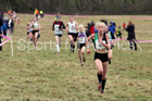 Junior womens 2018 Northern Cross Country Champs., Harewood House, Leeds. Photo: David T. Hewitson/Sports for All Pics